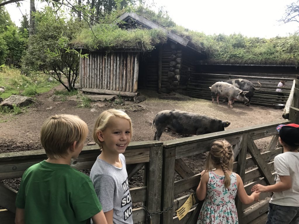 Djurpark på Furuvik