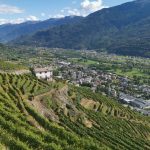 Vinresa till Italien