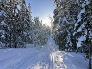 Längdåkning i Gyllbergen - nästan som i fjällen!