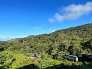 Sinharaja Forest Reserve - en fantastisk regnskog i Sri Lanka