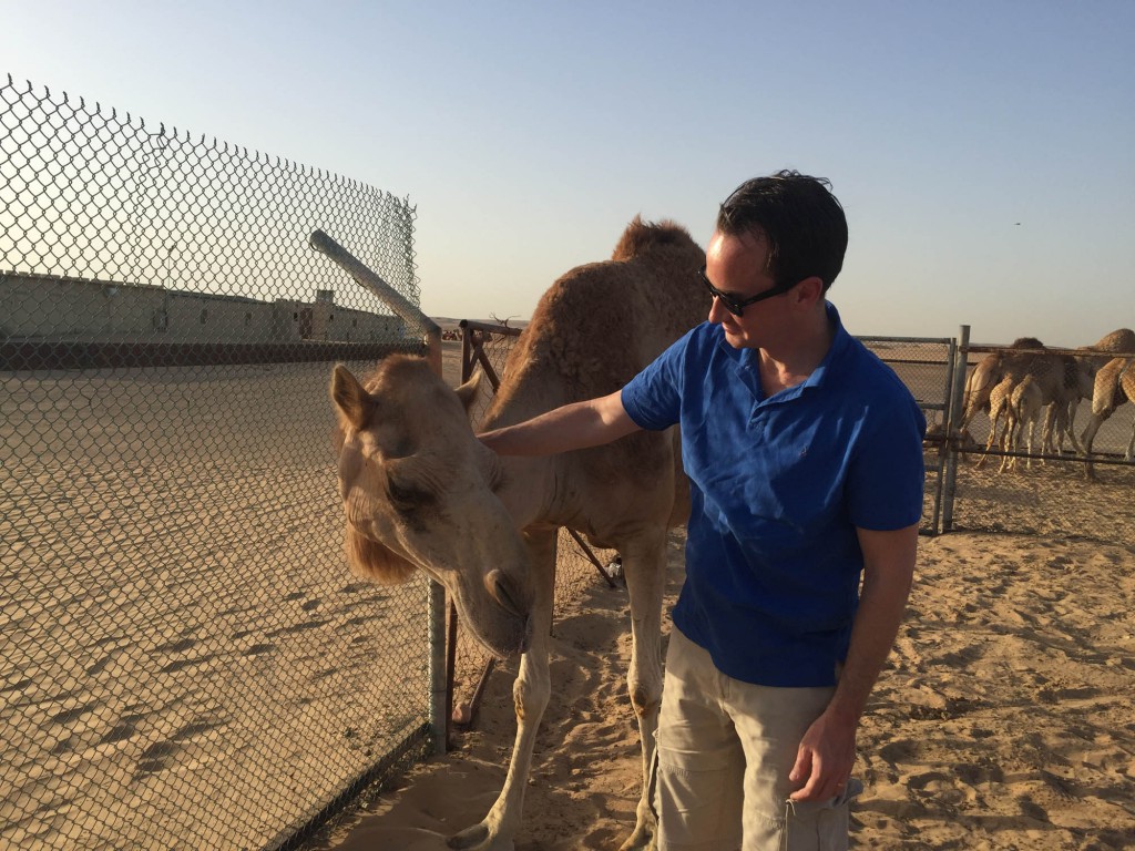 Ökensafari med Knight Tours i Dubai