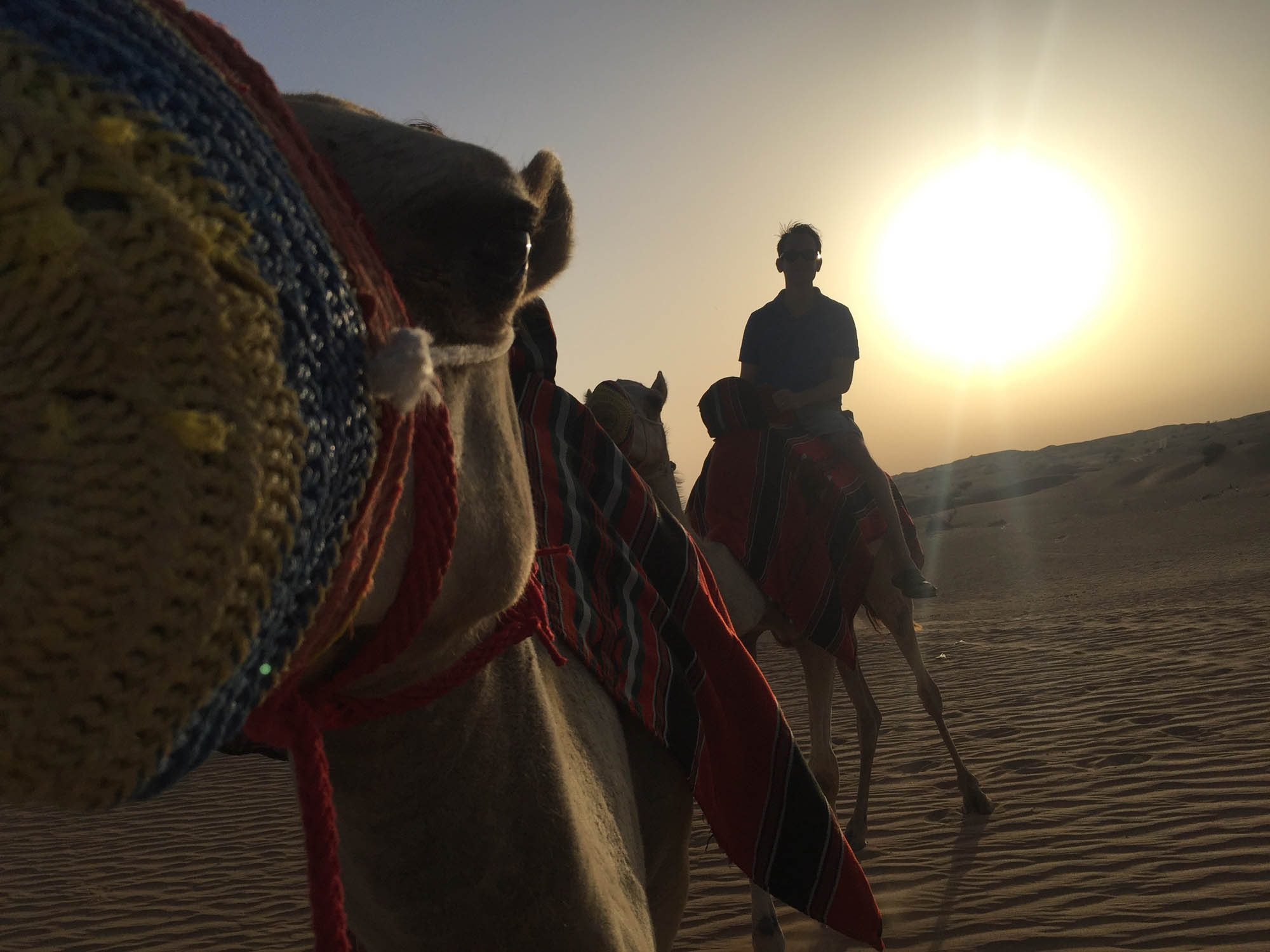 Ökensafari med Knight Tours i Dubai