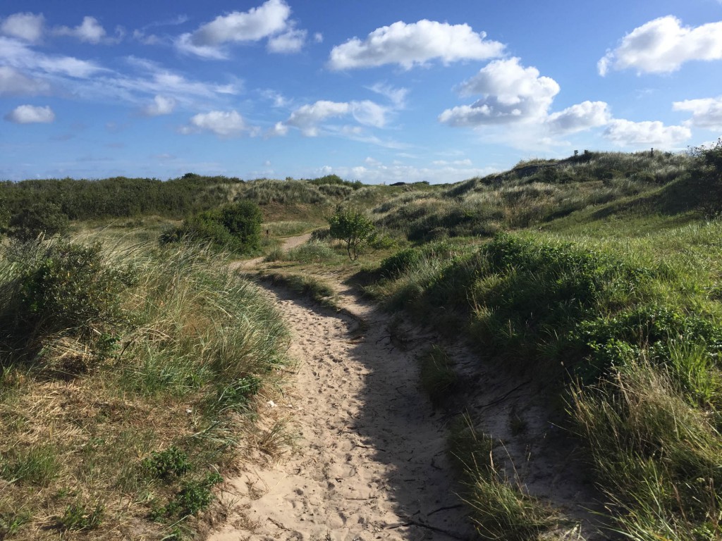 Skagen Grenen