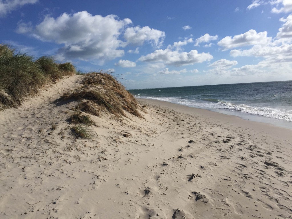 Skagen Grenen