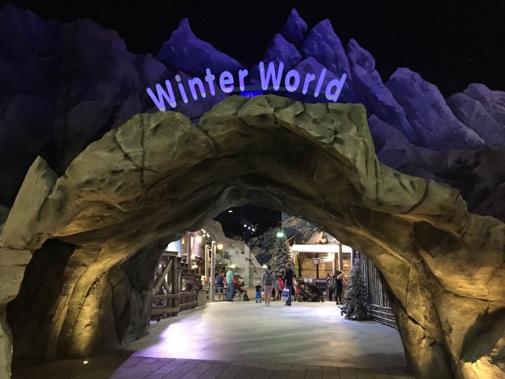 Lalandia Billund Winter World