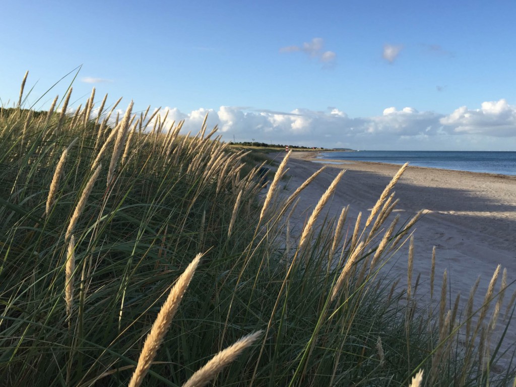 Grenaa Strand Camping