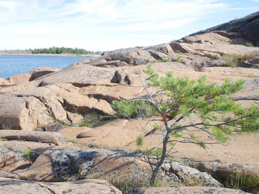 Klippor på Havsvidden