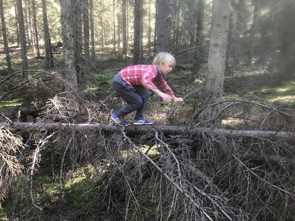 Tyresta Nationalpark Tjäderstigen