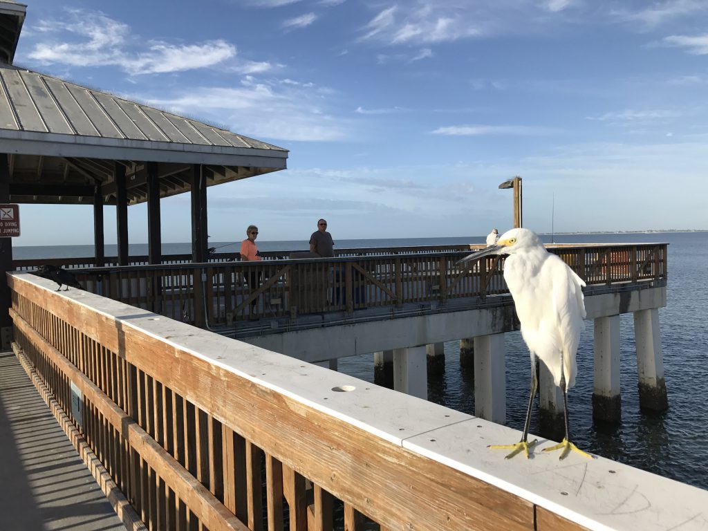 Fort Meyers Beach Florida