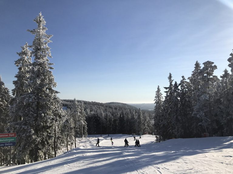 Året som gått 2017 - Resorna