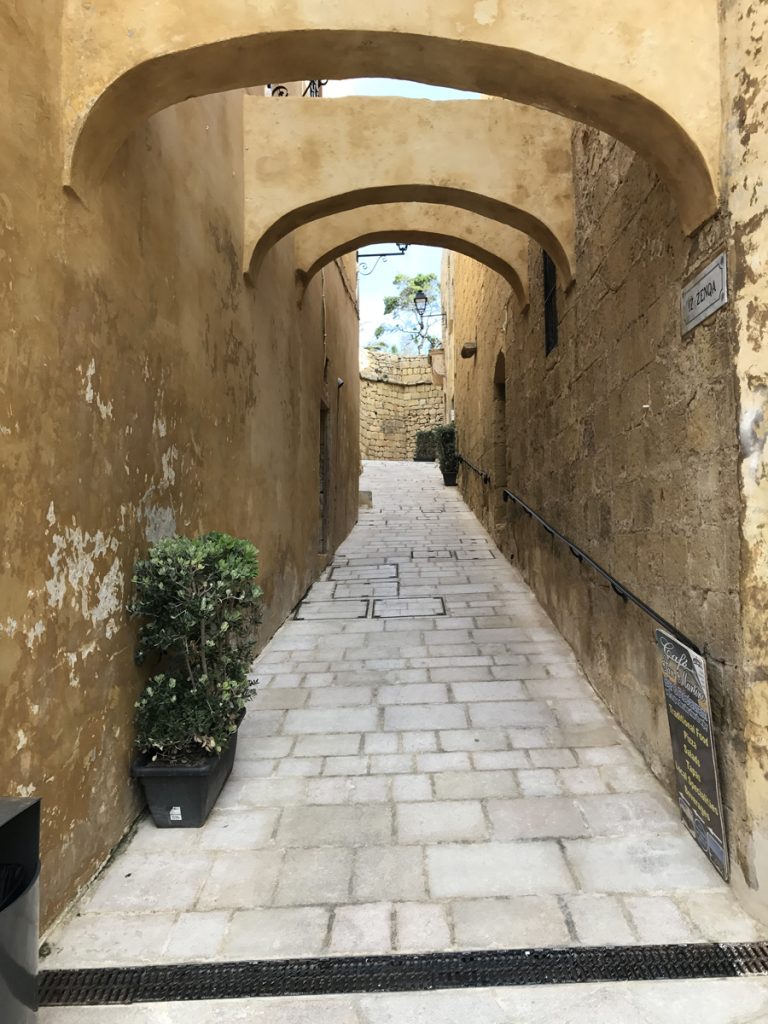 Sightseeing Gozo 
