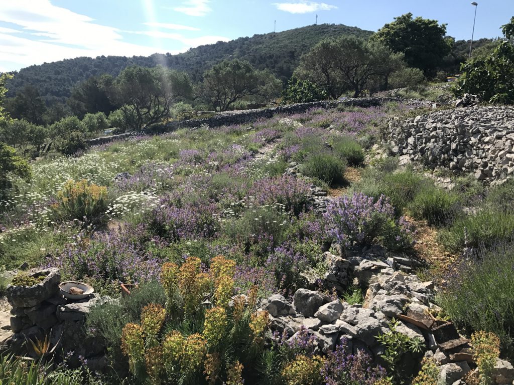 Garden of fine scence Lošinj