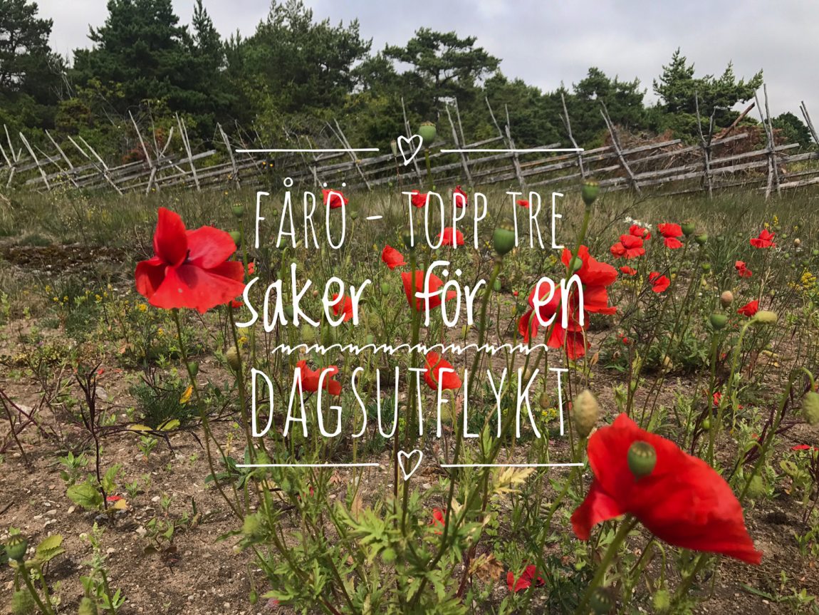 Fårö saker att göra