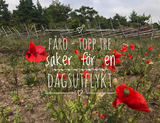 Fårö saker att göra
