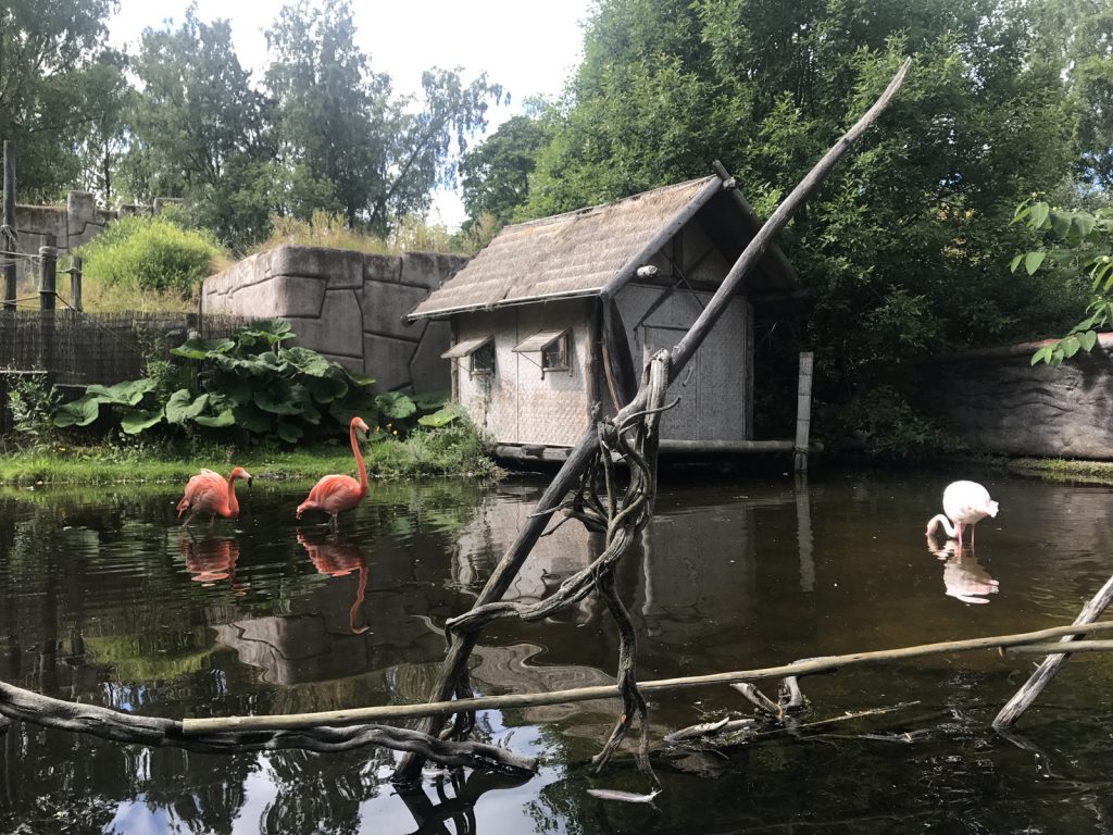 Djurpark på Furuvik