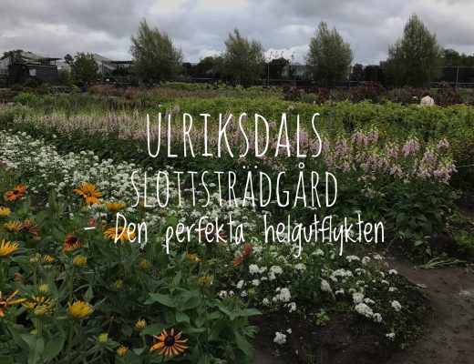 Ulriksdals slottsträdgård