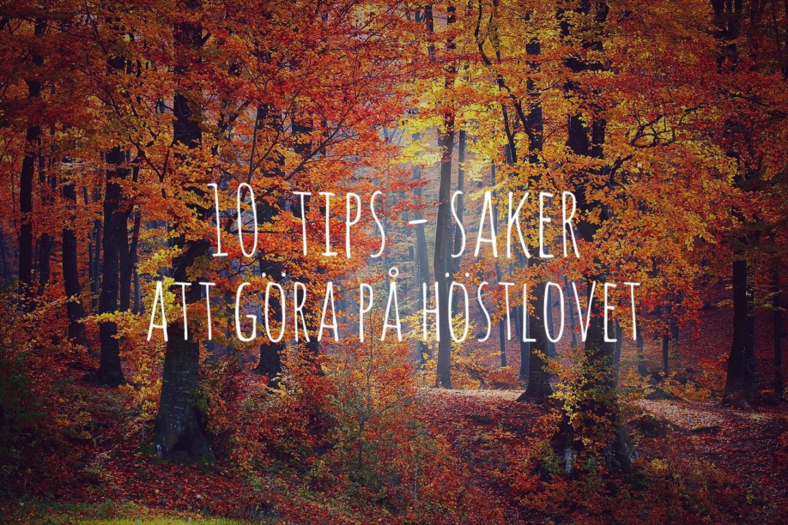 saker att göra på höstlovet