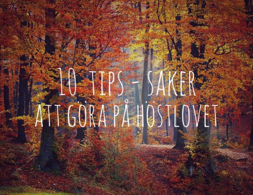 saker att göra på höstlovet