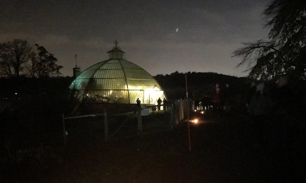 Victoriahuset i Bergianska trädgården