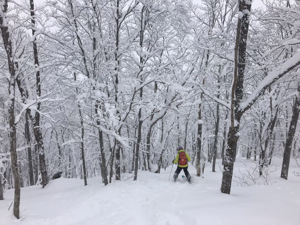 Skidåkning i Japan - off pist i Iwatake