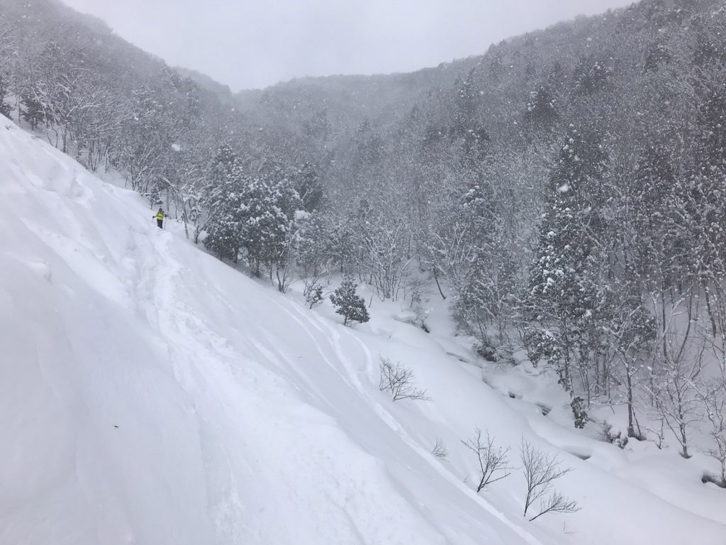 Skidåkning i Japan - off pist i Iwatake