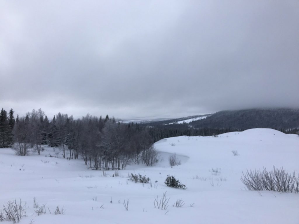 Skoterutflykt i Åre