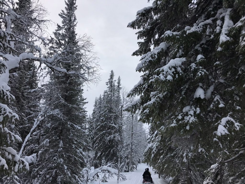 Skoterutflykt i Åre