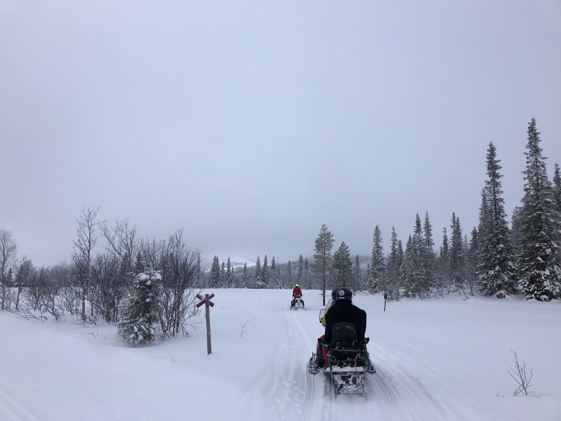 Skoterutflykt i Åre