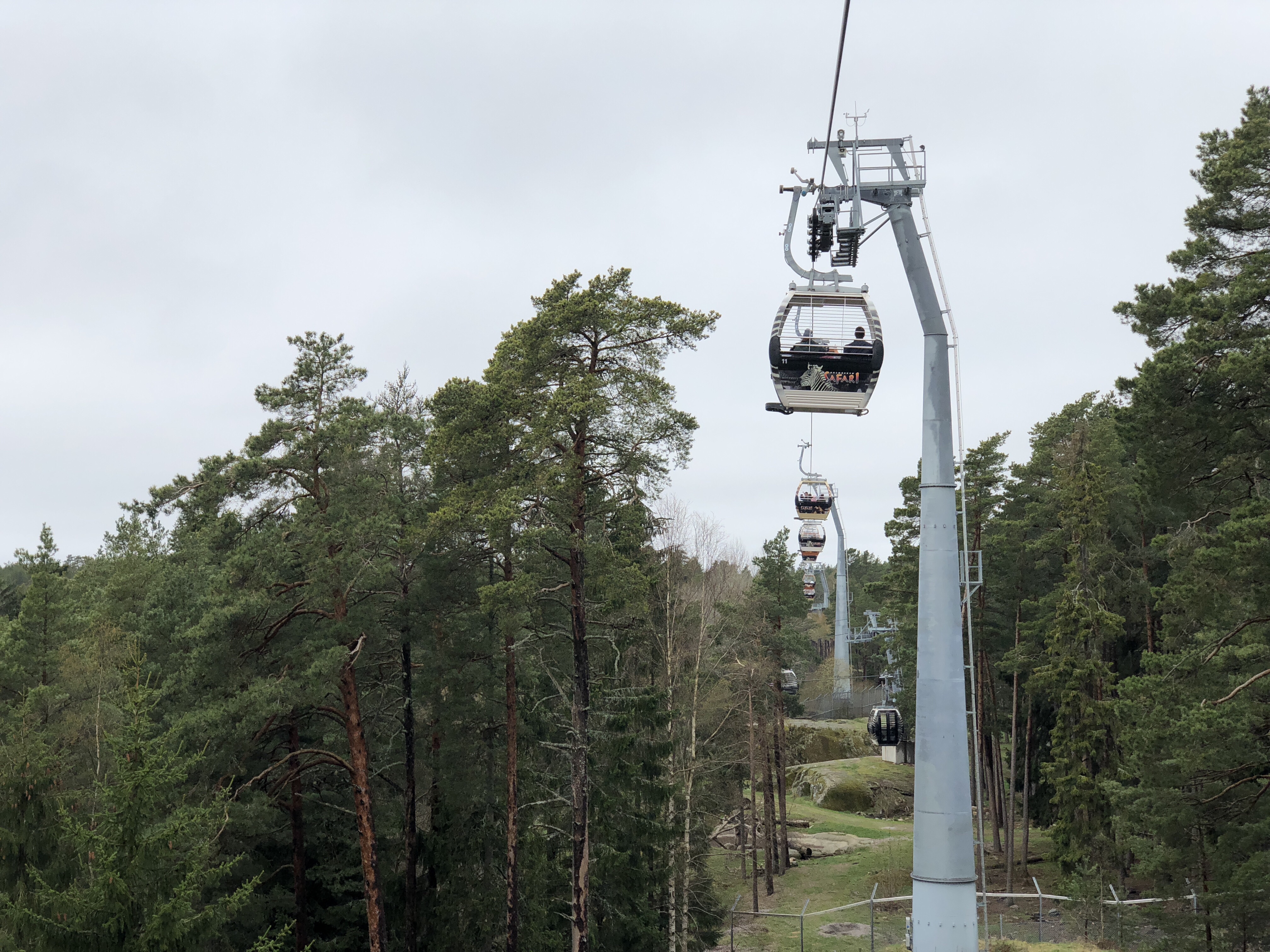 Safari på Kolmården