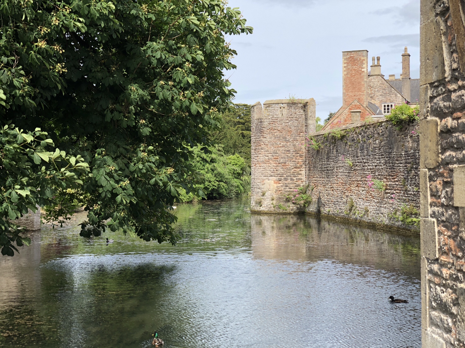 The Bishop's Palace and Gardens