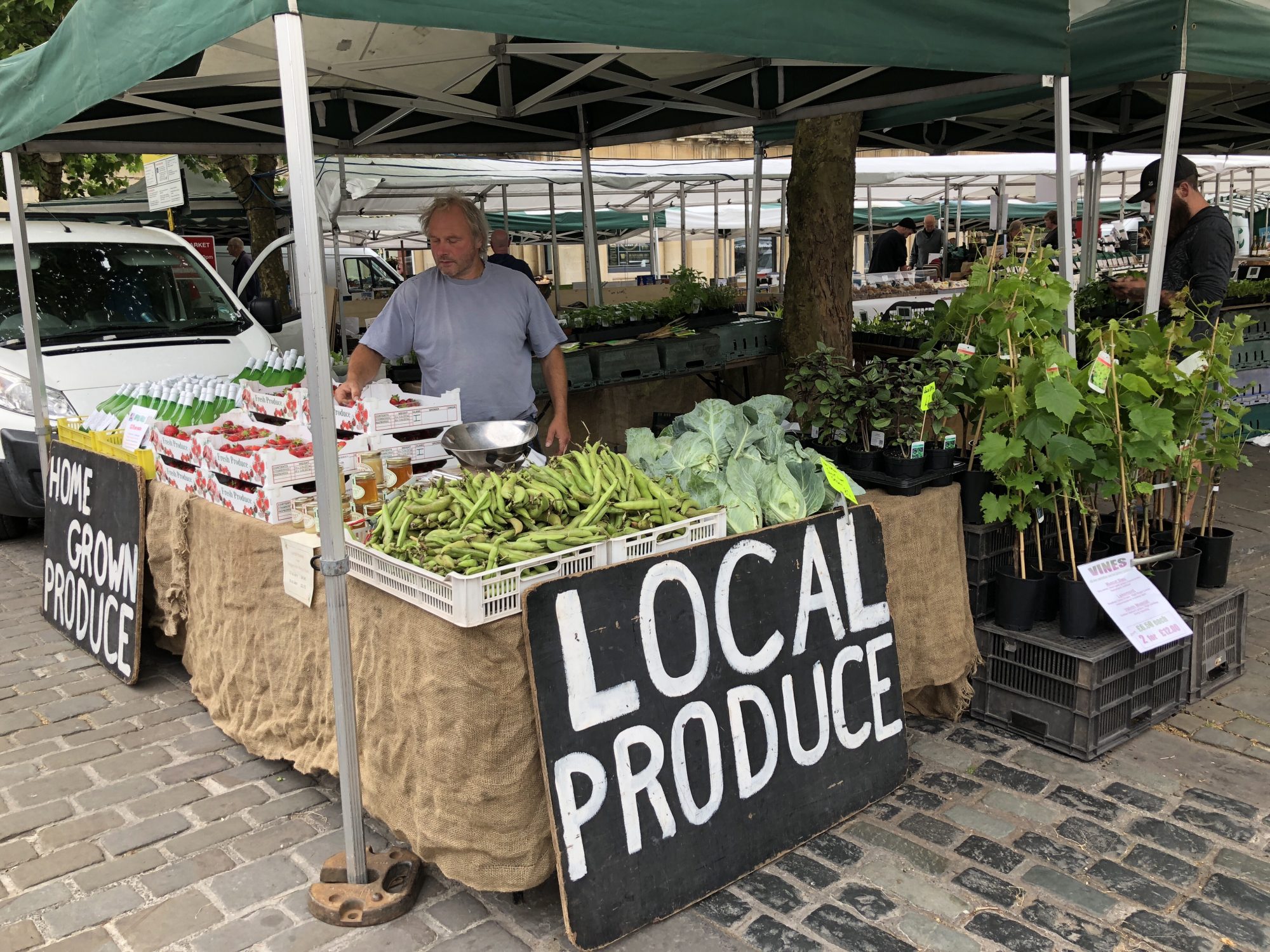 Farmer's market