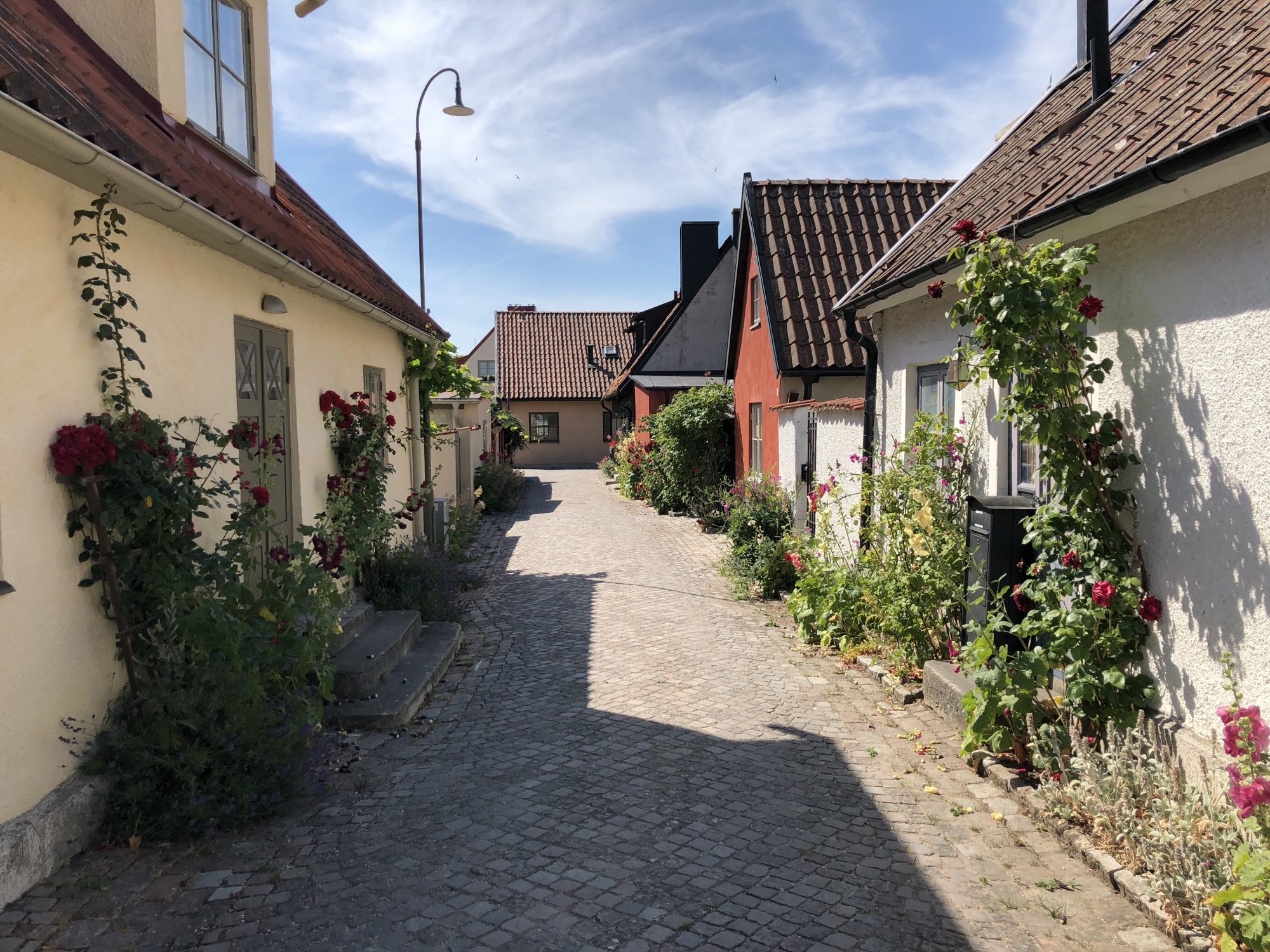 Strosa runt i Visby