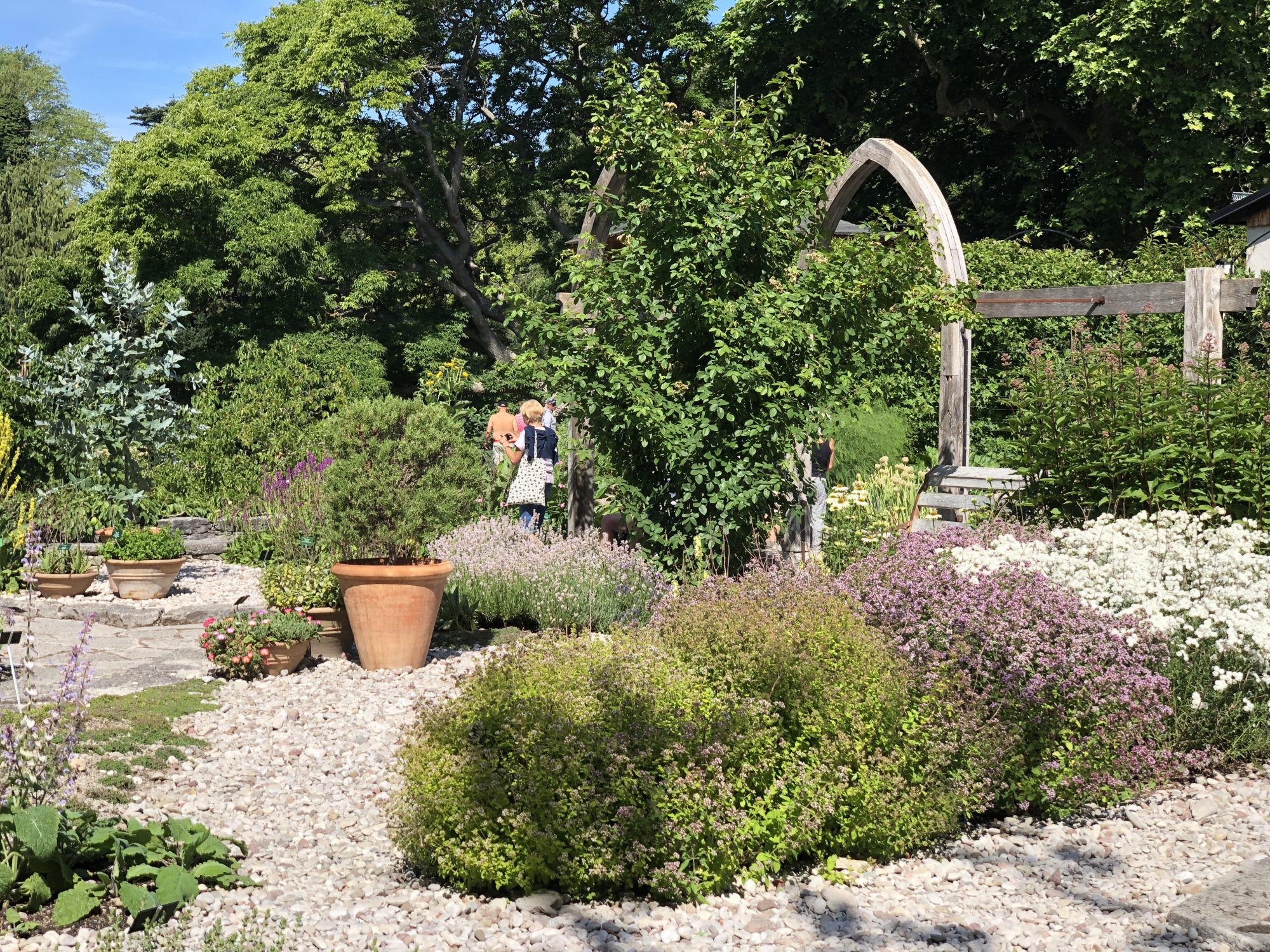 Botaniska Trädgården Visby