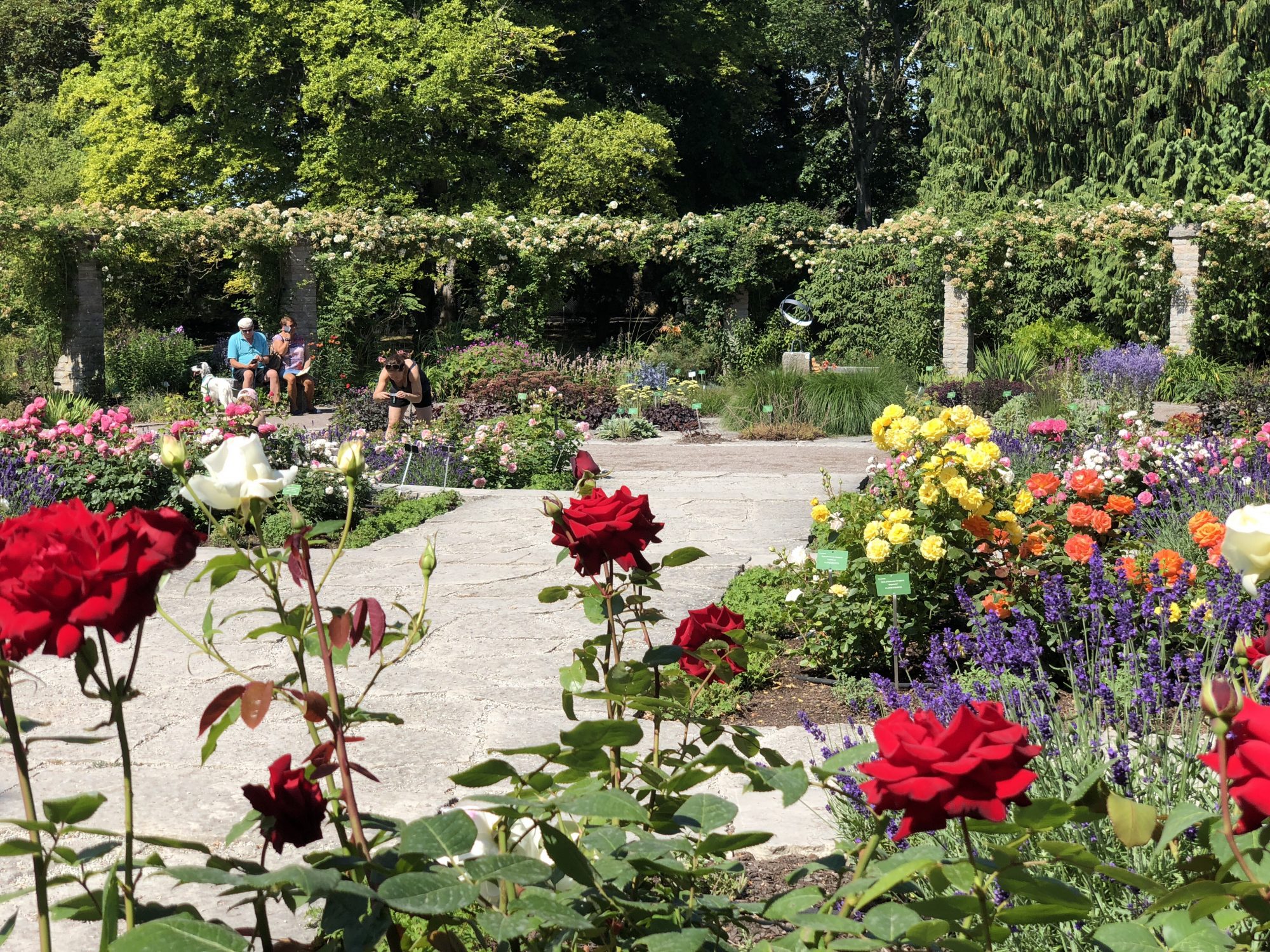 Botaniska Trädgården Visby