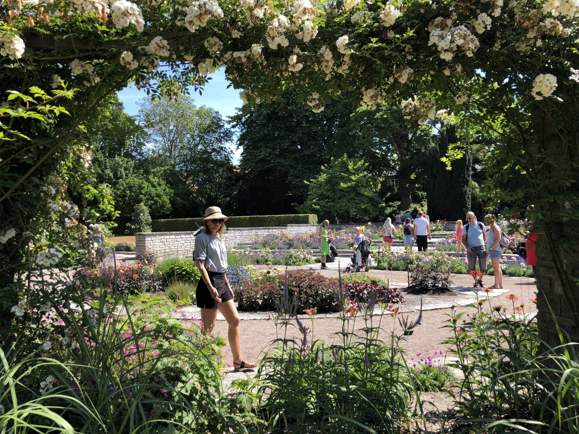 Botaniska Trädgården Visby