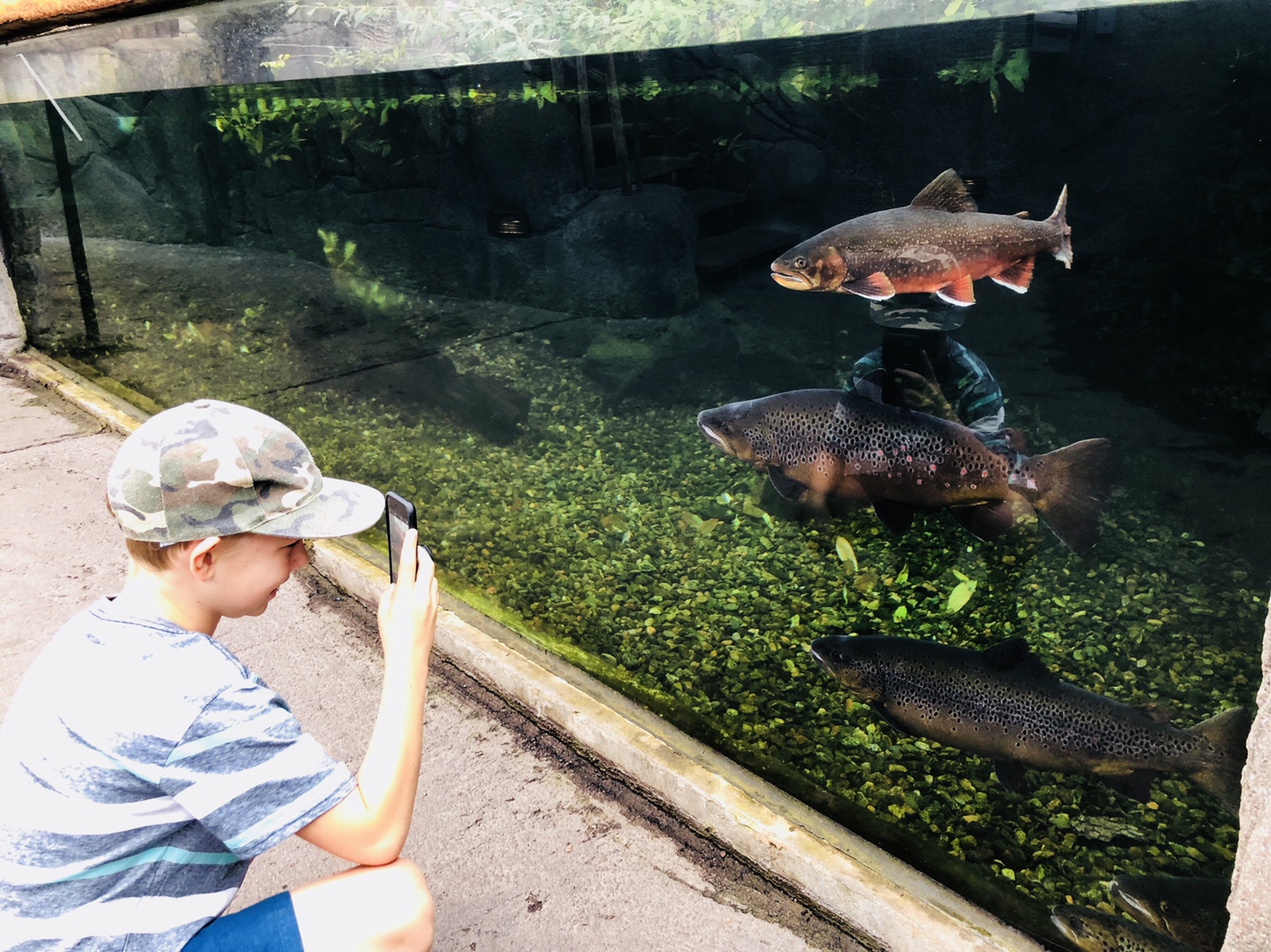 Universeum i Göteborg