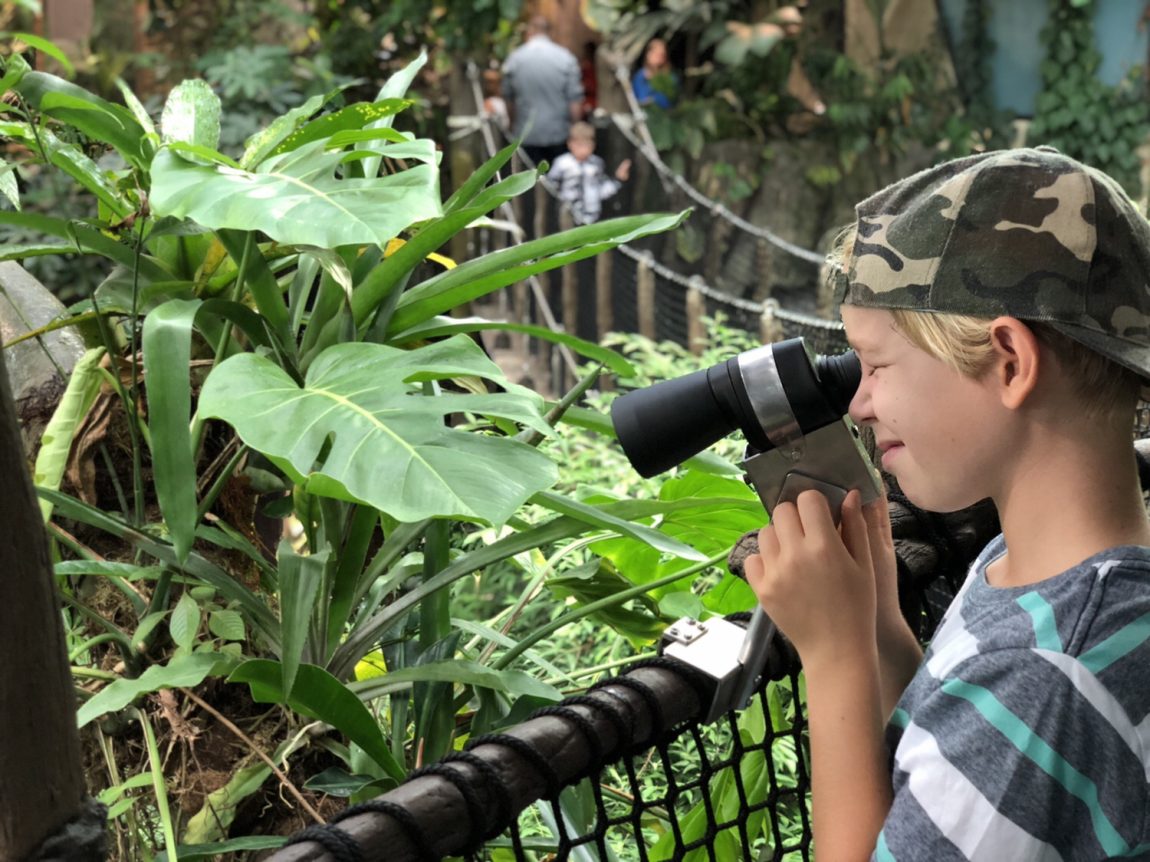 Universeum i Göteborg
