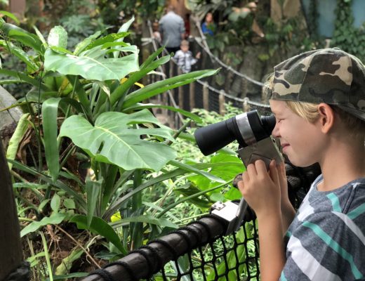 Universeum i Göteborg