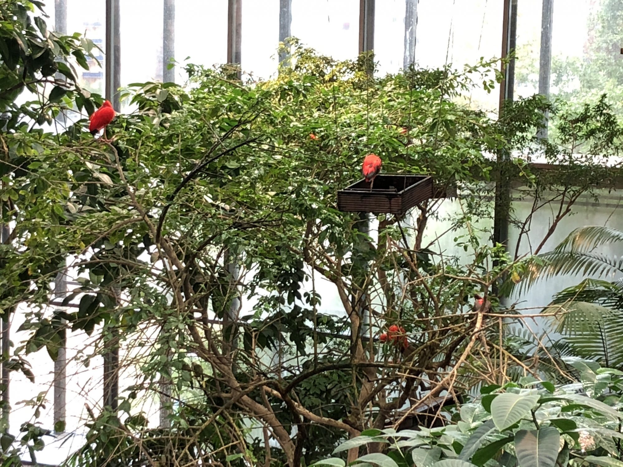 Universeum i Göteborg