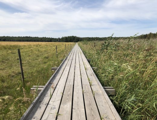 Mariebergsskogen i Karlstad