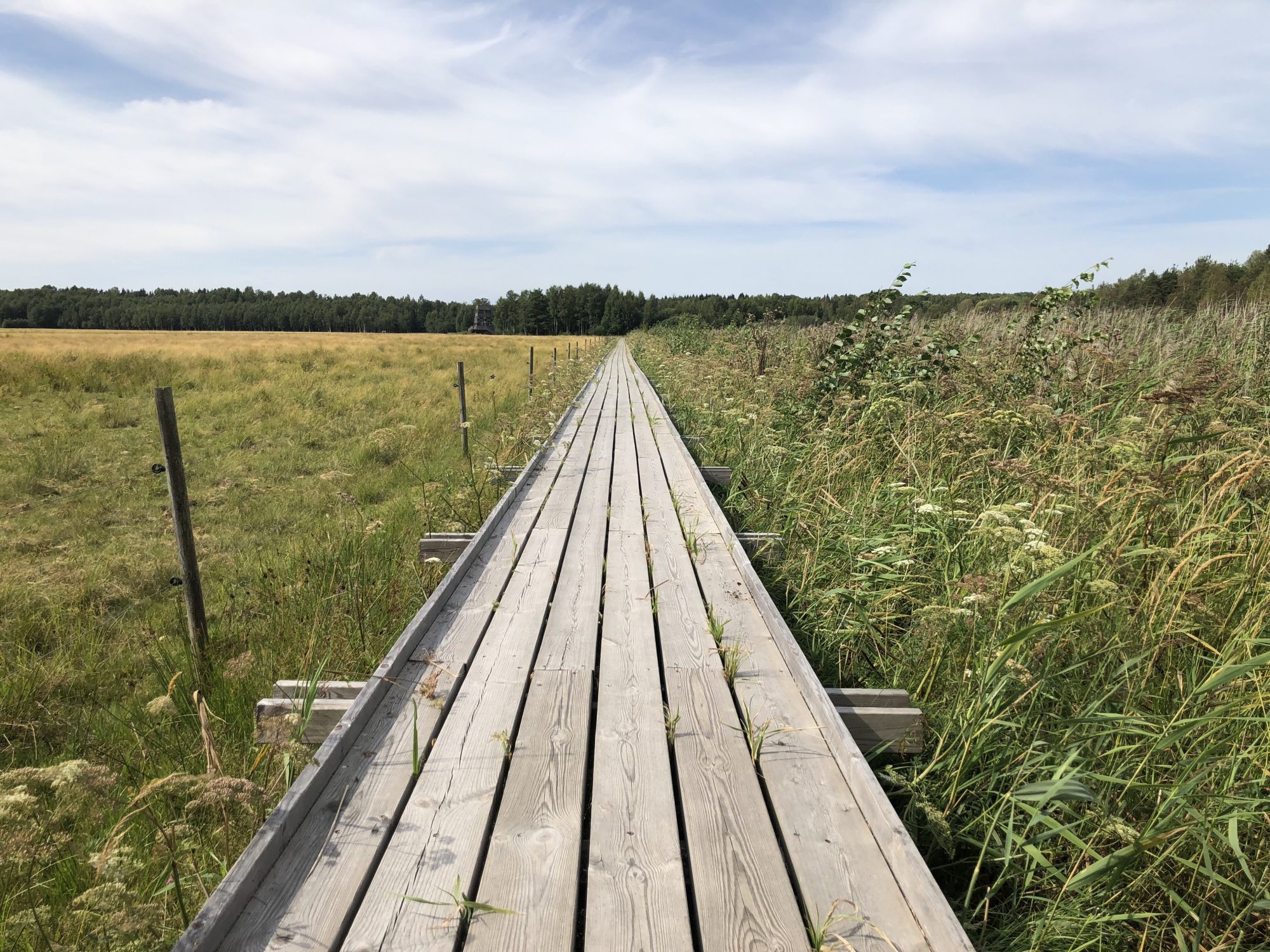 Mariebergs strandängar