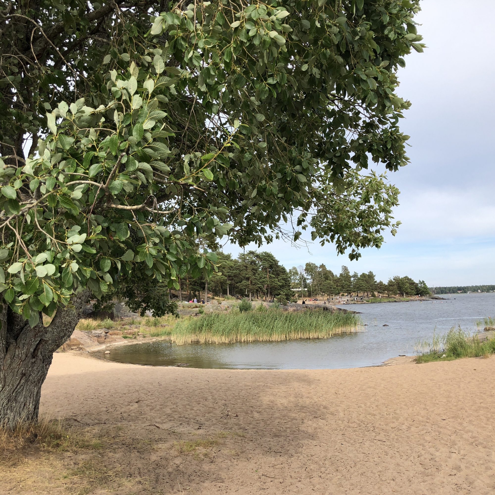 Skutberget i Karlstad