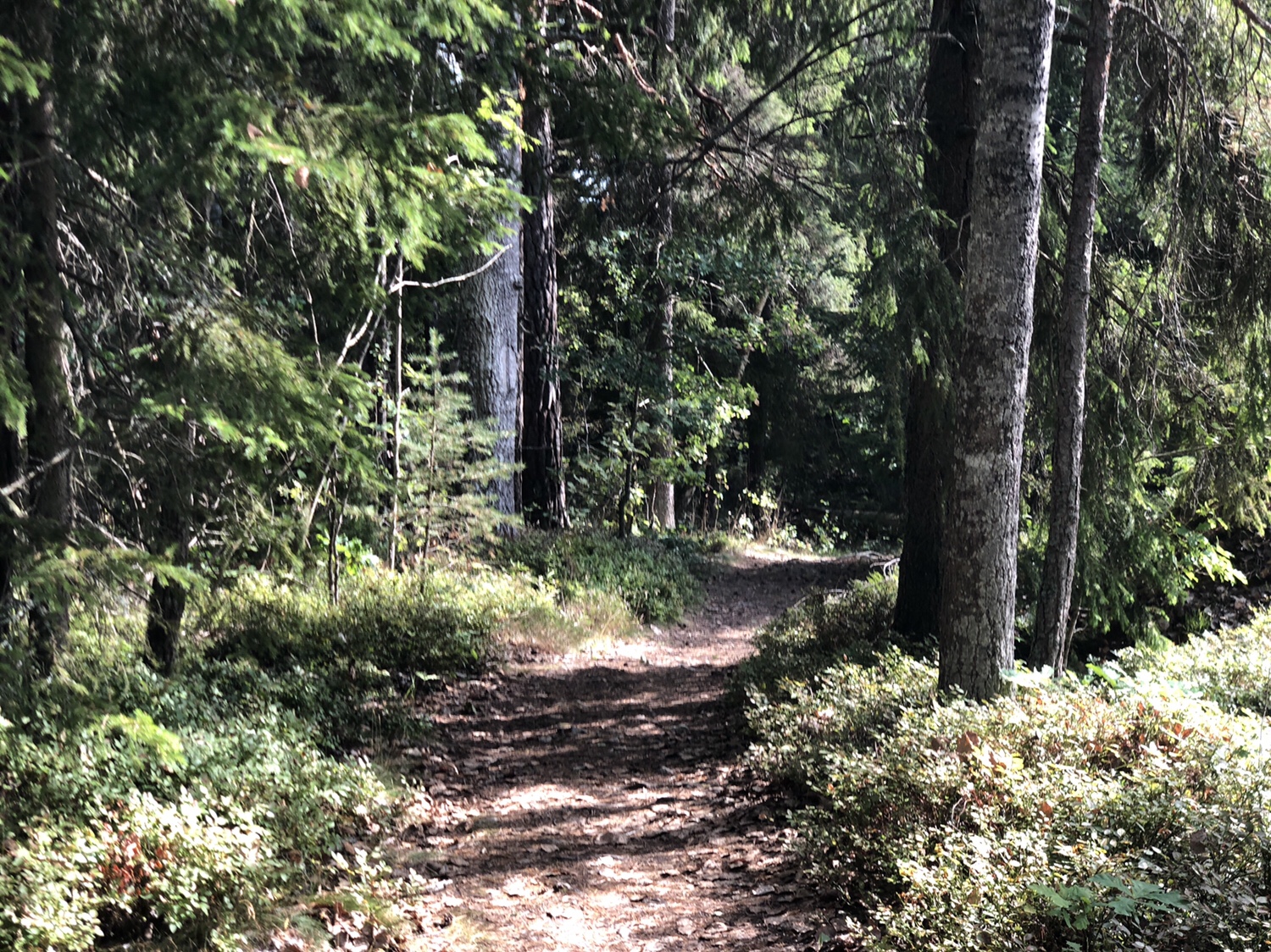 Badstränder på Gällnö