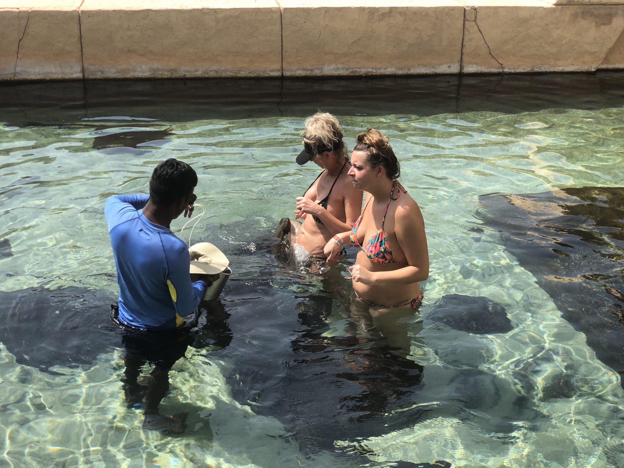 Aquaventure ray feeding