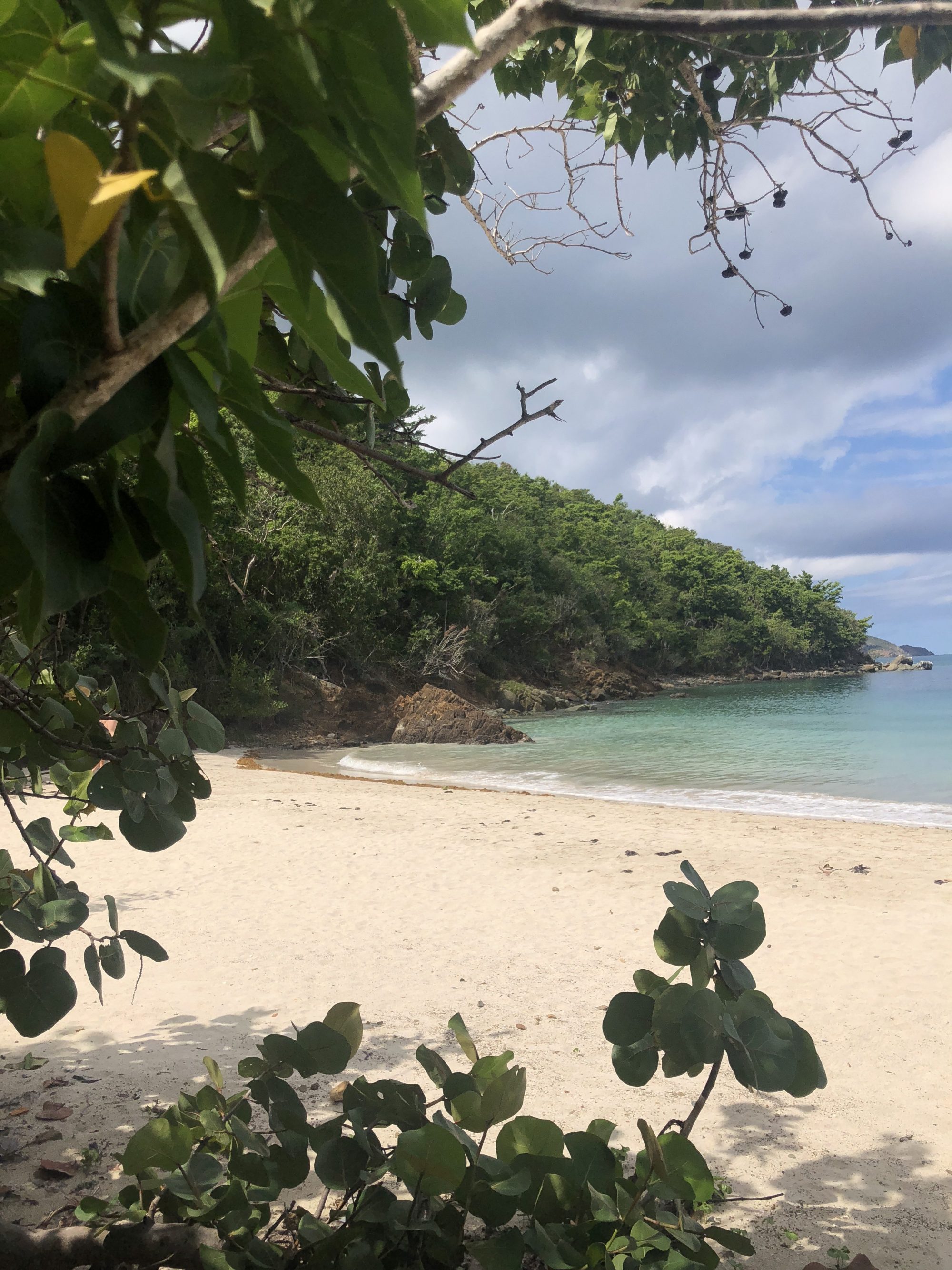 Megan's bay på St Thomas