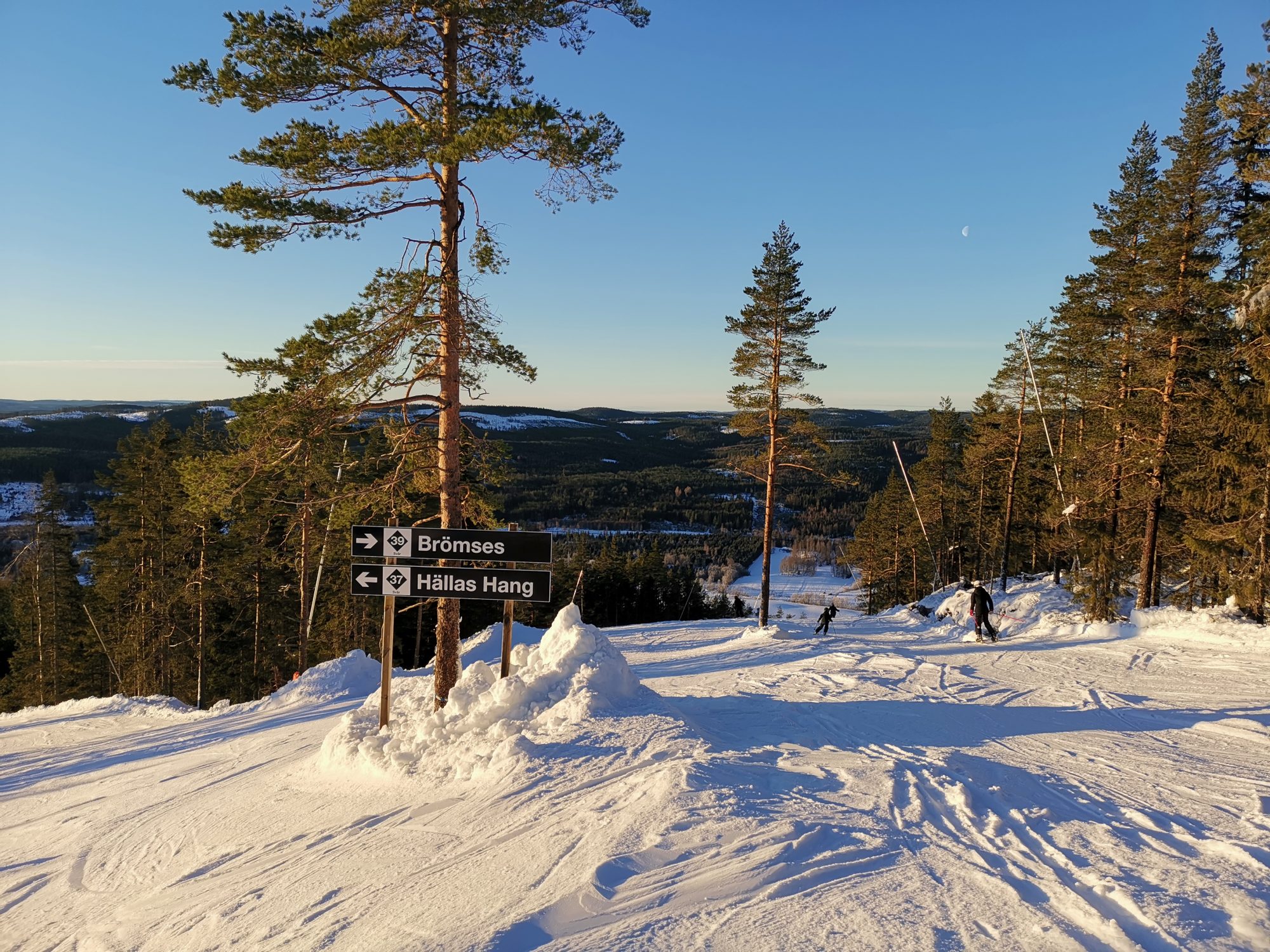 Romme Alpin nyheter 2019