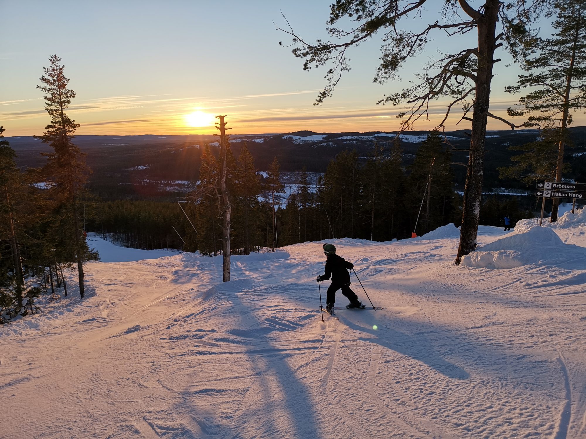 Romme Alpin nyheter 2019