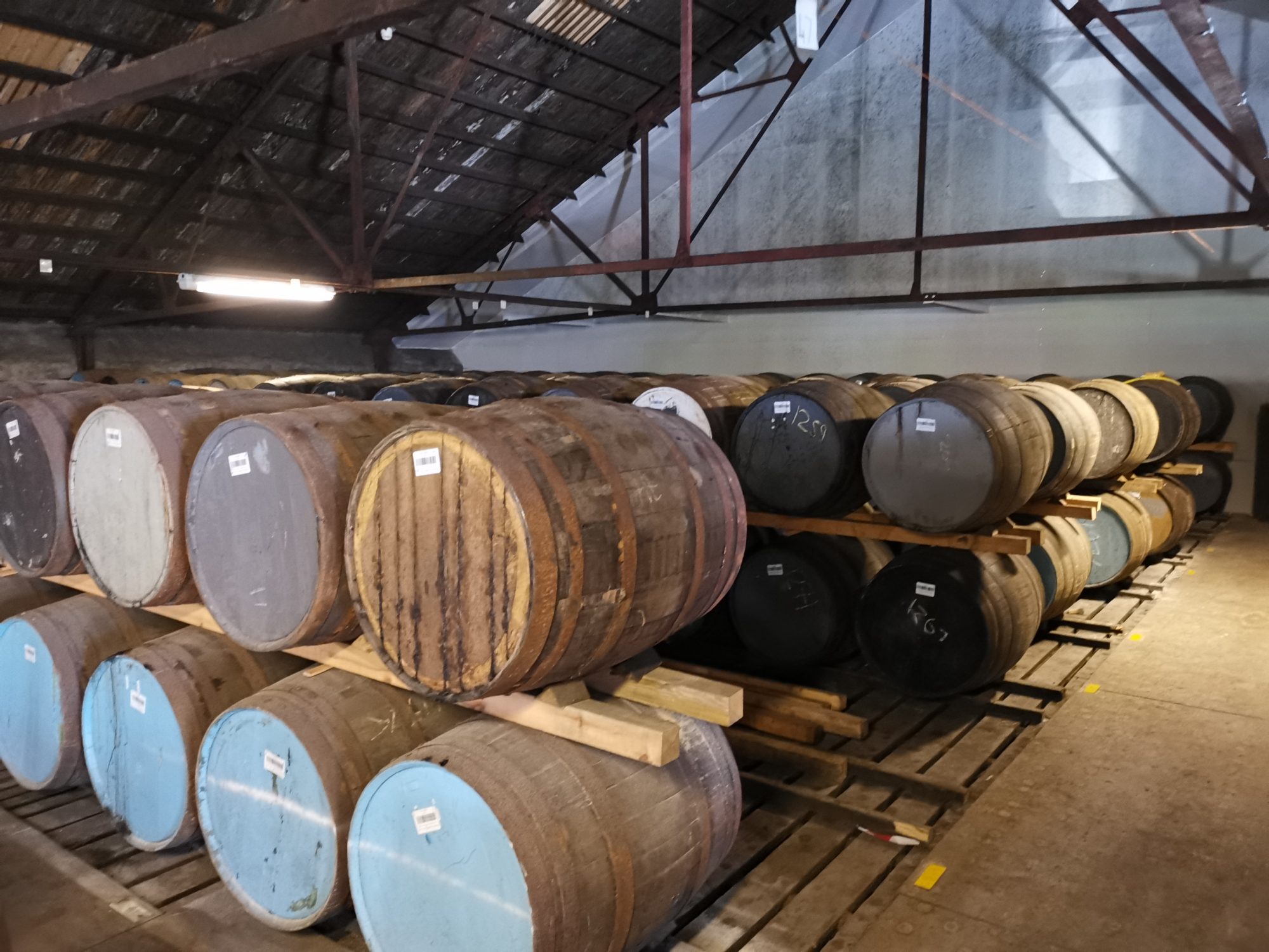 Guidad tur på Talisker Distillery