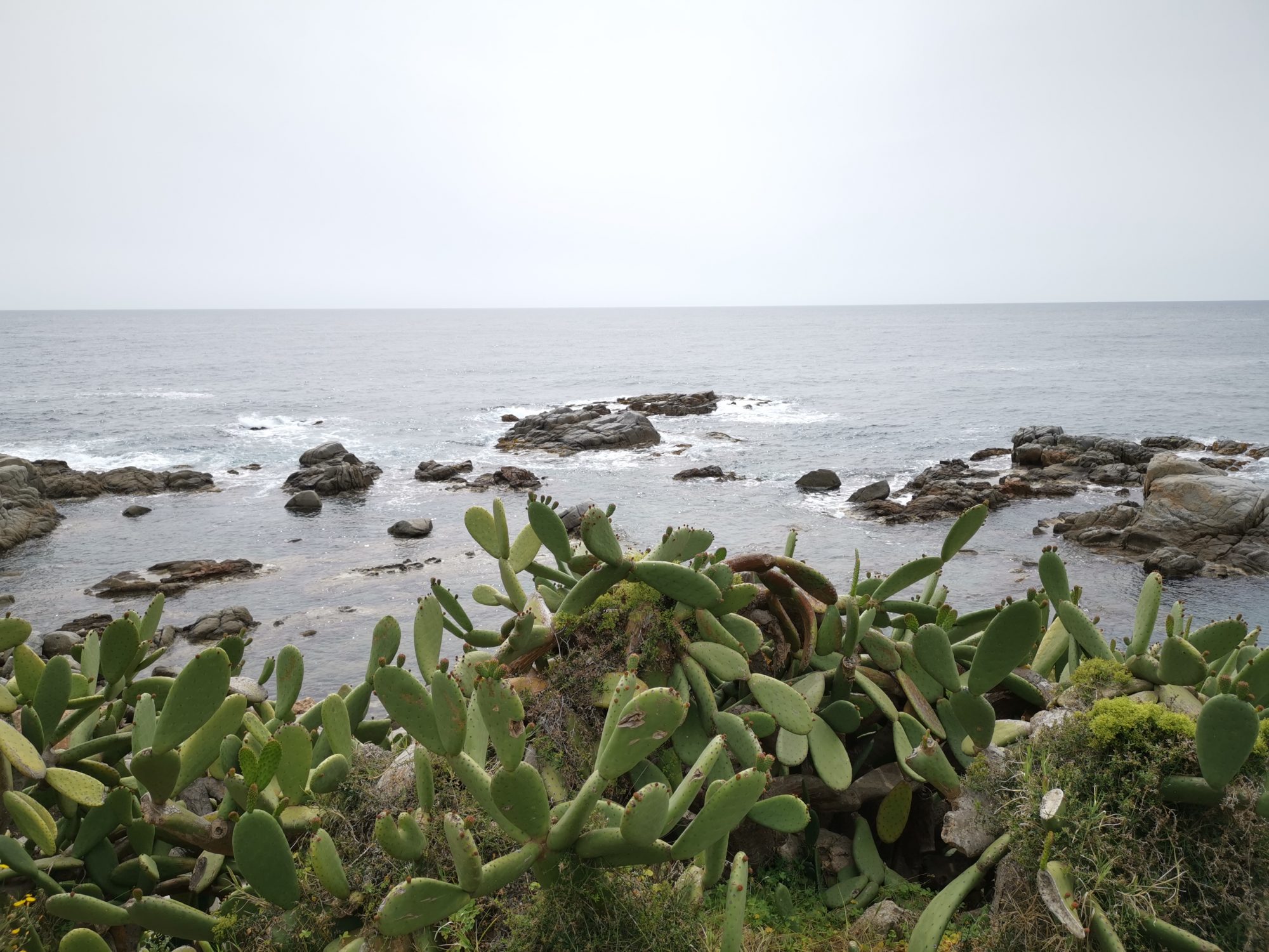 Calella de Palafrugell 