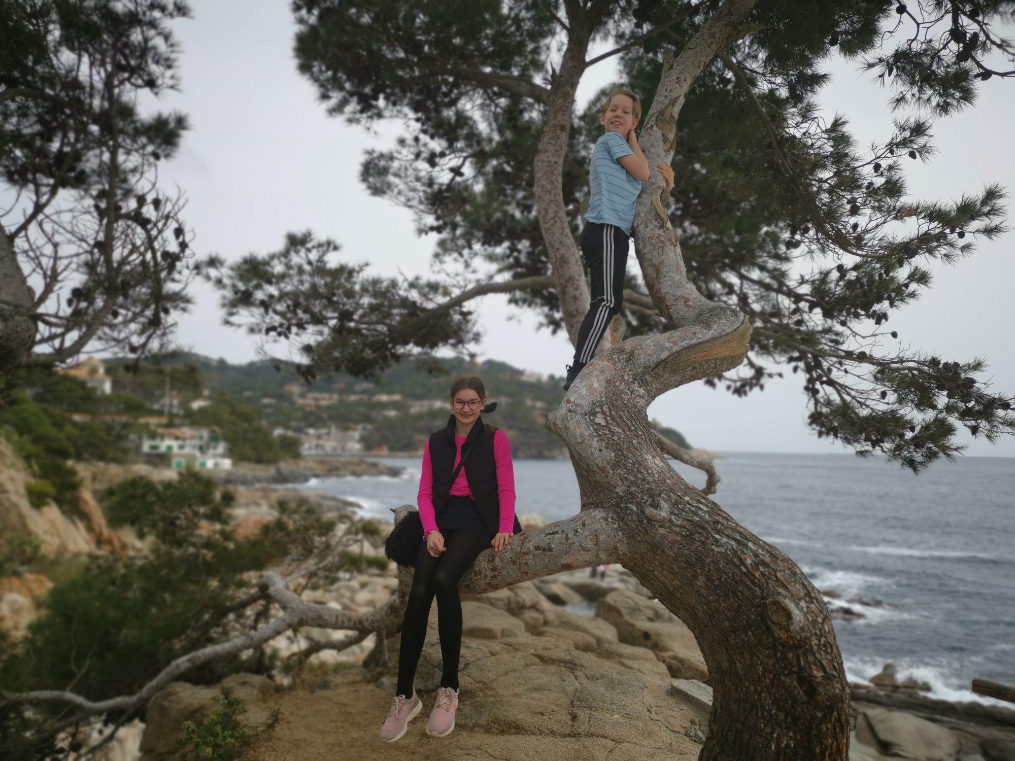 Calella de Palafrugell 